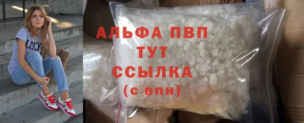 амф Покачи