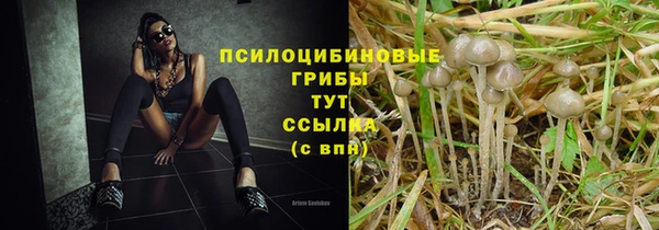прущая мука Покровск