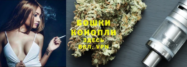 ALPHA PVP Покров
