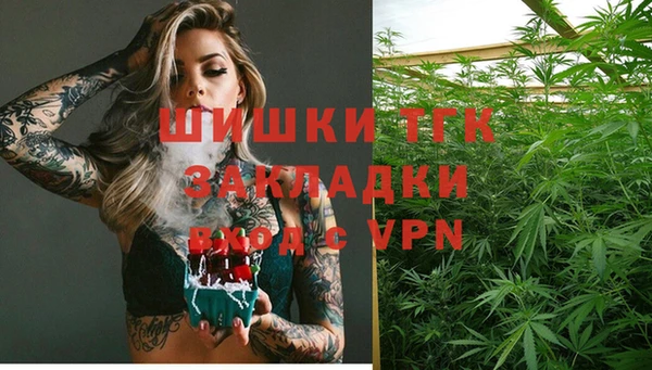 ALPHA PVP Покров