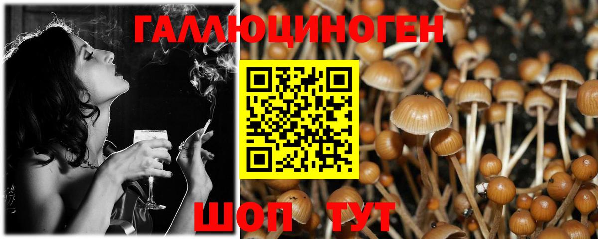 Конопля Балахна