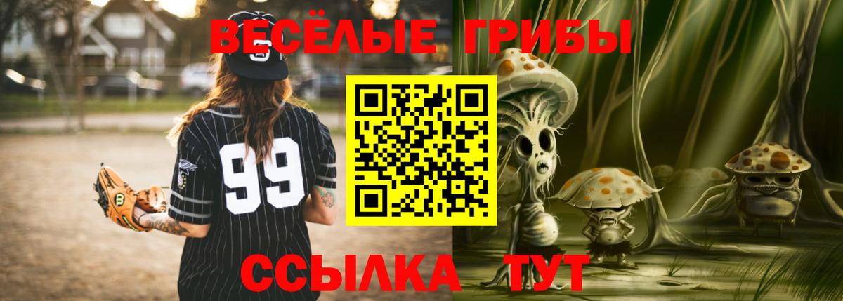 Псилоцибиновые грибы мухоморы  Псилоцибиновые грибы Cubensis  Балахна  Вход с VPN 